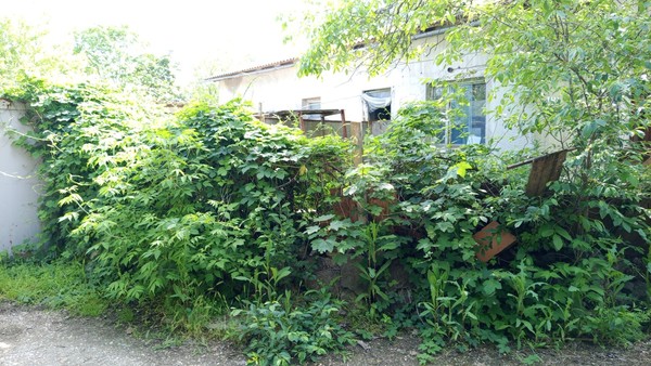 Продам дом, Тынч пер, 16, Симферополь г, 0 км от города