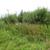 Продам участок 6 соток, Фермерское хоз., Березка тер. СНТ, Степановское д, 0 км от города