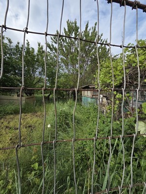 Продам дачу, Роз б-р, 27, Волгодонск г, 0 км от города