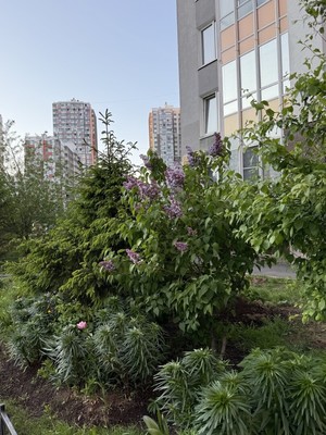 Продам однокомнатную (1-комн.) квартиру, Строителей пр-кт, 20, Кудрово г
