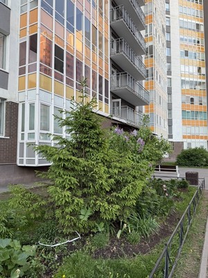 Продам однокомнатную (1-комн.) квартиру, Строителей пр-кт, 20, Кудрово г