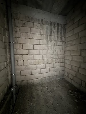 Продам однокомнатную (1-комн.) квартиру, Ленина ул, 367, Шалушка с