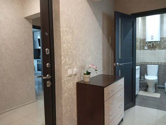 Продам двухкомнатную (2-комн.) квартиру, Авиаторов Балтики пр-кт, 19, Мурино п