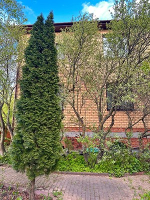 Продам дом, 3, Авдотьино д, 0 км от города