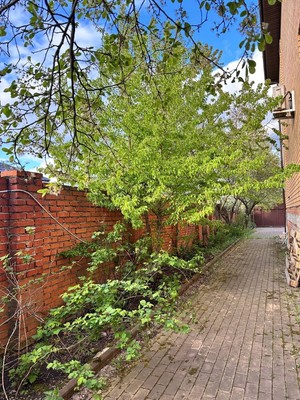 Продам дом, 3, Авдотьино д, 0 км от города