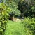 Продам участок 6,33 соток, Фермерское хоз., Фундучная ул, Богушевка с, 0 км от города