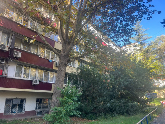 Продам однокомнатную (1-комн.) квартиру, Чебрикова (Центральный р-н) ул, 40, Сочи г