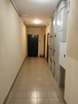 Продам однокомнатную (1-комн.) квартиру, Пригородное (Пригород Лесное мкр.) ш, 3к353, Мисайлово д