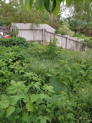 Продам участок 5 соток, ИЖС, Жигулевская ул, 79, Воронеж г, 0 км от города