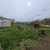 Продам дом, Ворошилова ул, 32, Краснооктябрьская ст-ца, 0 км от города