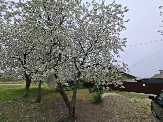 Продам дом, Ворошилова ул, 32, Краснооктябрьская ст-ца, 0 км от города