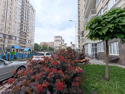 Продам однокомнатную (1-комн.) квартиру, Конгрессная ул, 19/1к1, Краснодар г