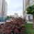 Продам однокомнатную (1-комн.) квартиру, Конгрессная ул, 19/1к1, Краснодар г