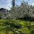 Продам участок 15,6 соток, ИЖС, Александровская ул, 6, Петергоф г, 0 км от города