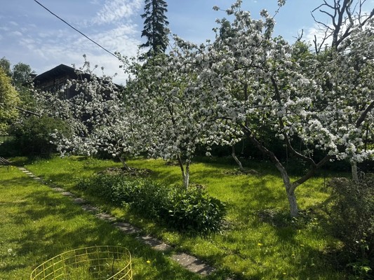 Продам участок 35,6 соток, ИЖС, Александровская ул, 6, Петергоф г, 0 км от города
