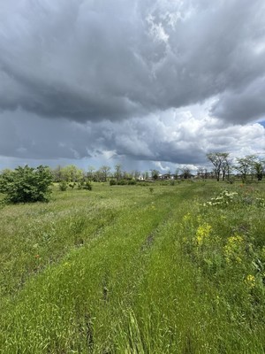 Продам участок 6 соток, Фермерское хоз., Ким ул, Симферополь г, 0 км от города