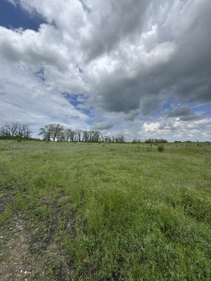 Продам участок 6 соток, Фермерское хоз., Ким ул, Симферополь г, 0 км от города