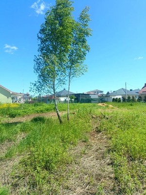 Продам участок 11 соток, ИЖС, Заозерье п, 0 км от города