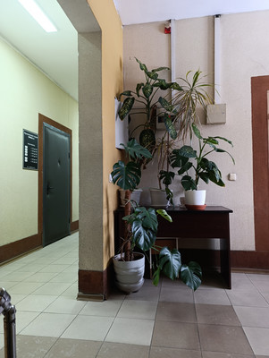 Продам офисное помещение 38,6 м2, Советский пр-кт, 49, Калининград г