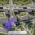 Продам многокомнатную квартиру (долевое), Арбат ул, Москва г