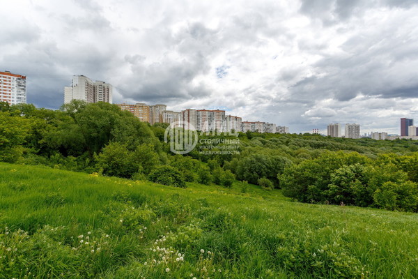 Продам трехкомнатную (3-комн.) квартиру, Донелайтиса проезд, 25, Москва г
