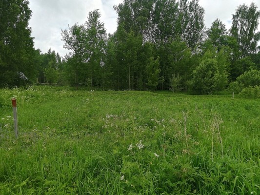 Продам участок 10,5 соток, ИЖС, Купанское с, 0 км от города