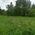 Продам участок 10,5 соток, ИЖС, Купанское с, 0 км от города