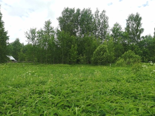 Продам участок 10,5 соток, ИЖС, Купанское с, 0 км от города
