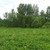 Продам участок 10,5 соток, ИЖС, Купанское с, 0 км от города