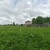 Продам участок 10,5 соток, ИЖС, Купанское с, 0 км от города