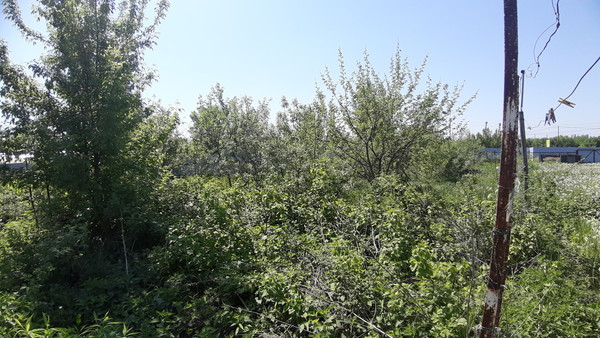 Продам дом, Шоссейная ул, 6, Сафоново д, 0 км от города