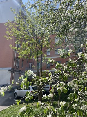 Продам однокомнатную (1-комн.) квартиру, Лялин пер, 11-13/1, Москва г