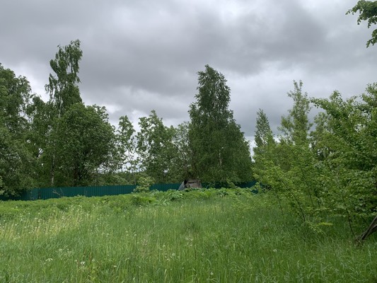 Продам дом, 9, Борзые д, 0 км от города
