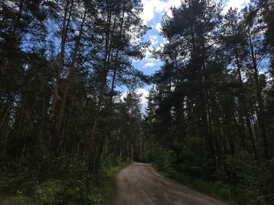 Продам дачу, Русь тер. СНТ, 3, Нижний Новгород г, 0 км от города