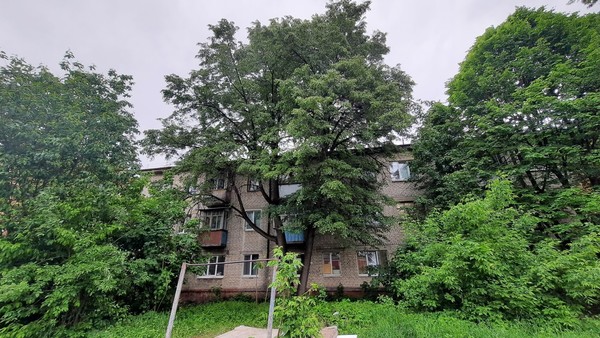 Продам комнату в 6-комн. квартире, Якова Эшпая ул, 110А, Йошкар-Ола г