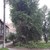 Продам комнату в 6-комн. квартире, Якова Эшпая ул, 110А, Йошкар-Ола г