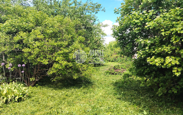 Продам участок 5,75 соток, Фермерское хоз., Молодинский тер. СНТ, 31, Молоди с, 0 км от города