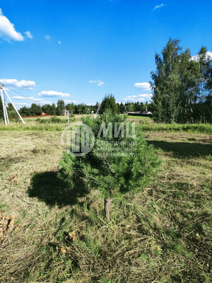 Продам участок 8,08 соток, ИЖС, Новая ул, Горки д, 0 км от города