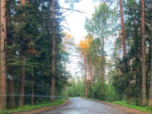 Продам дачу, 4-я ул, 285, Бумажник тер. СНТ, 0 км от города