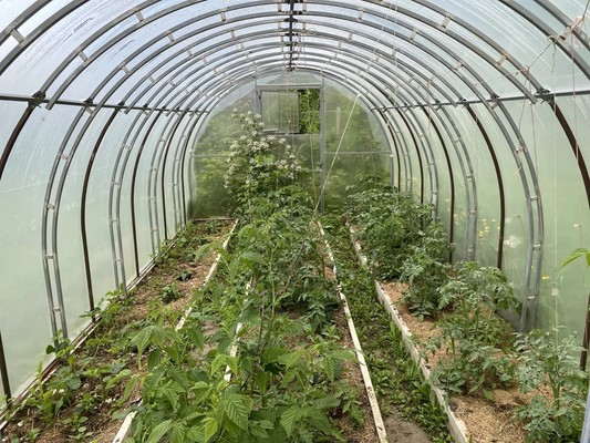 Продам дом, Лесная (Ромашкино-2 тер. ТСН) ул, 2, Горелово д, 0 км от города