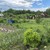 Продам дом, Лесная (Ромашкино-2 тер. ТСН) ул, 2, Горелово д, 0 км от города