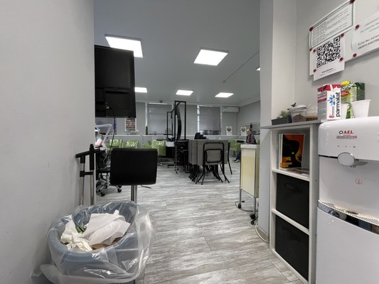 Продам коммерческое помещение 300 м2, Армянский пер, 7, Москва г
