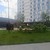Продам однокомнатную (1-комн.) квартиру, Куприна пр-кт, 7к1, Сосенское п