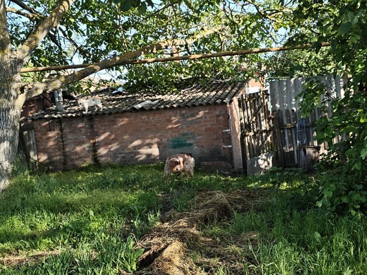 Продам дом, Октябрьская ул, 74, Русская Слободка с, 0 км от города