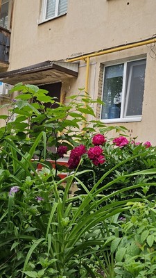 Продам однокомнатную (1-комн.) квартиру, Северная ул, 28, Октябрьский г
