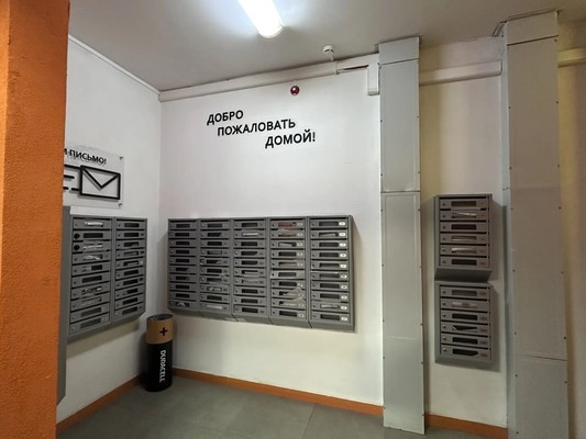 Продам однокомнатную (1-комн.) квартиру, Пригородное (Пригород Лесное мкр.) ш, 10, Мисайлово д