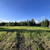 Продам участок 10 соток, Садоводство, Труневки д, 0 км от города
