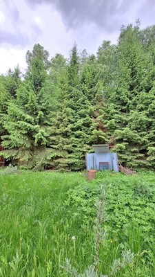 Продам дом, Нерастанное тер. СНТ, 75, Плешкино д, 0 км от города