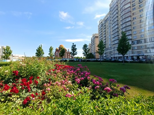 Продам однокомнатную (1-комн.) квартиру, Конгрессная ул, 19/1к1, Краснодар г