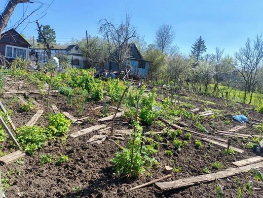 Продам участок 8 соток, СНТ, СХИ ул, Энгельс г, 0 км от города